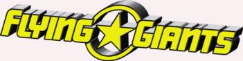 3 Dimensional Flying Giants decal - yellow rc digital decal